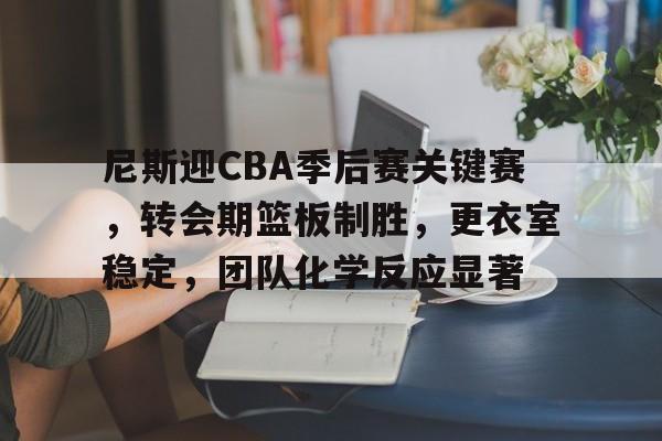 尼斯迎CBA季后赛关键赛，转会期篮板制胜，更衣室稳定，团队化学反应显著的简单介绍-足球直播